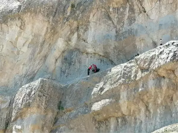 KAYALIKLARDA 2 GÜN MAHSUR KALAN 17 KEÇİYİ JANDARMA KURTARDI