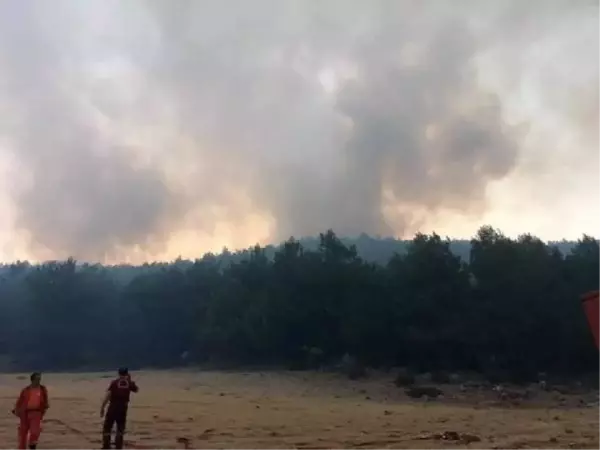 Son dakika haberi... HASSA'DA İKİ AYRI NOKTADA ORMAN YANGINI