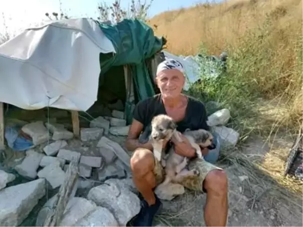 Sokağa atılmış köpekleri besleyip büyütüp sahiplendiriyor