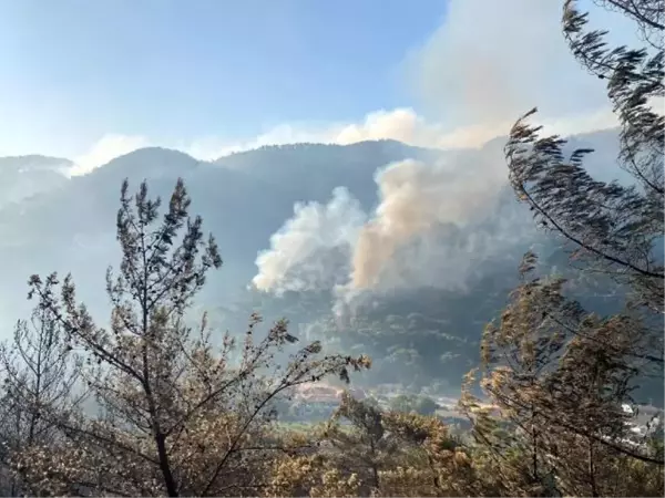 Son dakika haberi... Marmaris'te orman yangını; alevler yerleşim yerine 100 metre kadar yaklaştı, 1 ölü