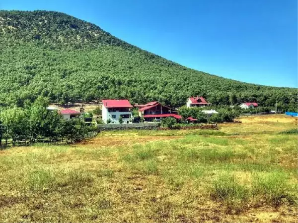 Son dakika haberi! TERÖRDEN ARINDIRILAN AMANOS DAĞLARI'NDAKİ 'ÇARDAK YAYLASI' TURİZME KAZANDIRILIYOR