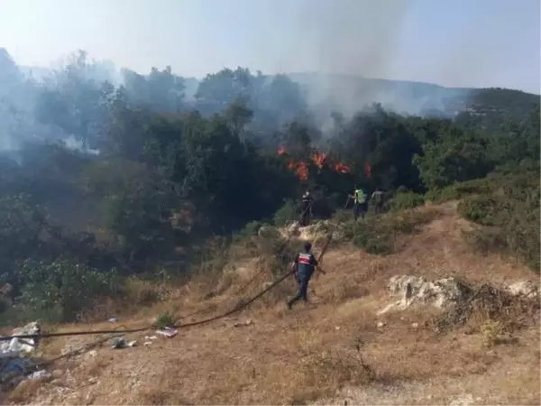 Son dakika haberi! BALIKESİR'DE ORMAN YANGINI; 20 DÖNÜM ALAN KÜL OLDU