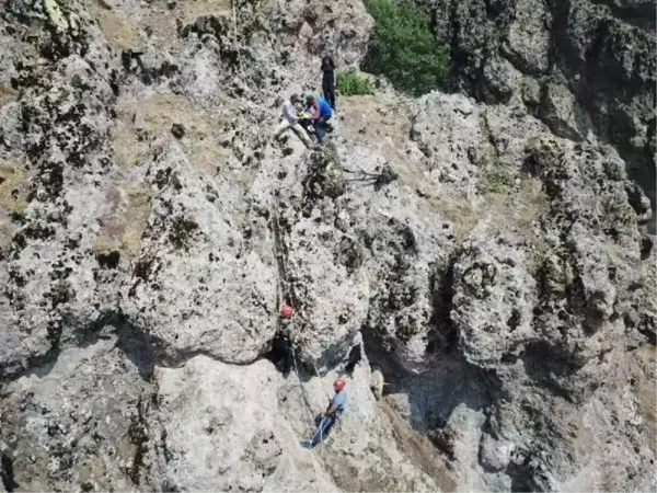 Kurttan kaçarken uçurumda mahsur kalan keçileri AFAD kurtardı