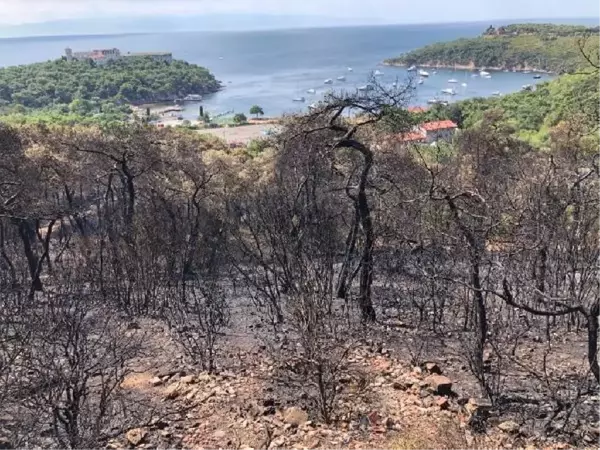 HEYBELİADA'DA SOĞUTMA ÇALIŞMALARI DEVAM EDİYOR