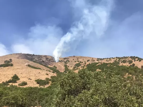 Son dakika haber! Orman yangınına müdahale sürüyor