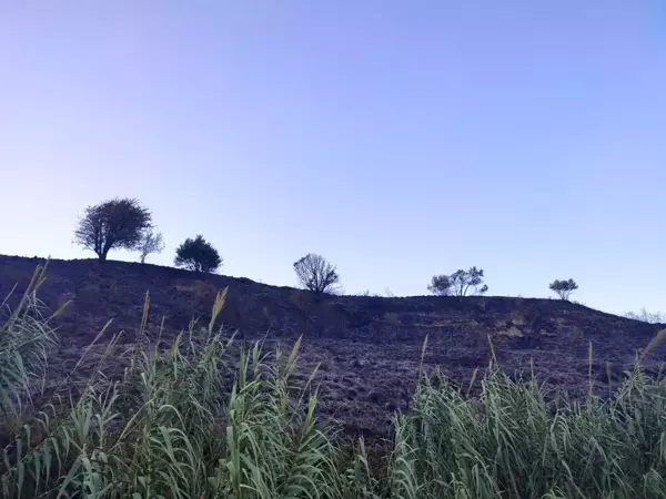 Son dakika haberi | Samandağ'da bahçe yangını