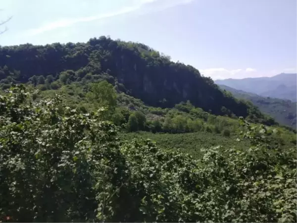 ORDU'DA TAŞ OCAĞI İÇİN 'ÇED GEREKLİ DEĞİL' KARARINA DURDURMA