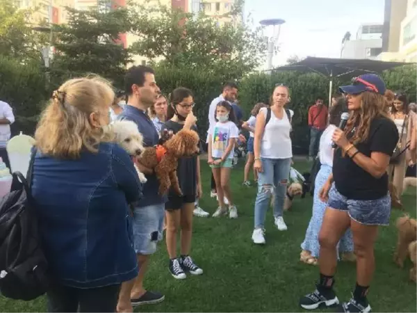 EVCİL HAYVANLAR 'KÖPEK FESTİVALİ'NDE SOSYALLEŞTİ