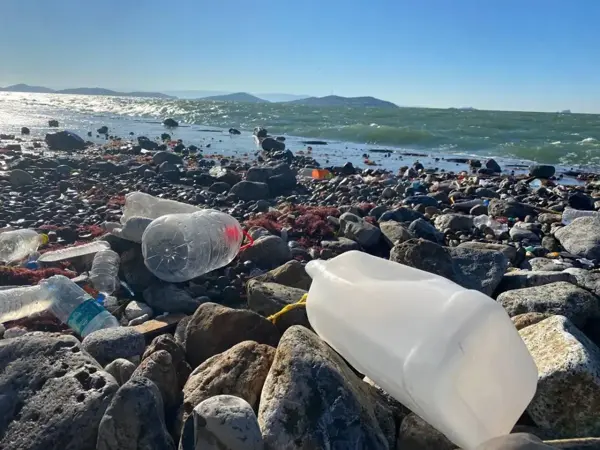 Lodos nedeniyle deniz altından çıkan atıklar Caddebostan Sahili'nde kıyıya vurdu