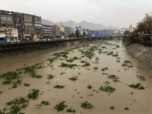 Son dakika haber! HATAY'DA SAĞANAK; ASİ NEHRİ'NİN SU SEVİYESİ YÜKSELDİ