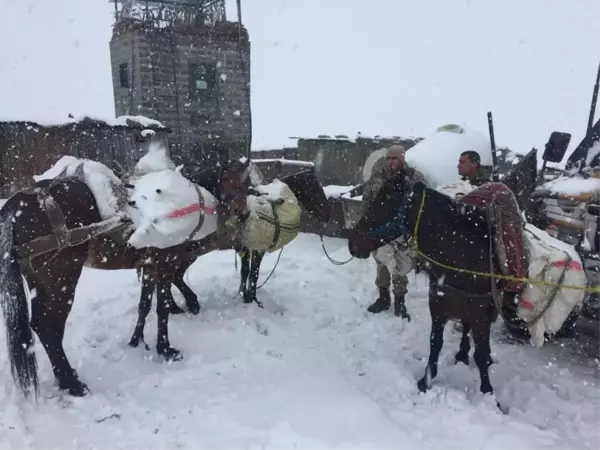 İran'dan Van'a atlarla getirilmeye çalışılan çok sayıda av tüfeği ele geçirildi