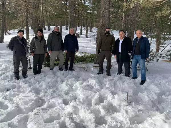 Koyulhisar'da yaban hayvanları için doğaya yiyecek bırakıldı