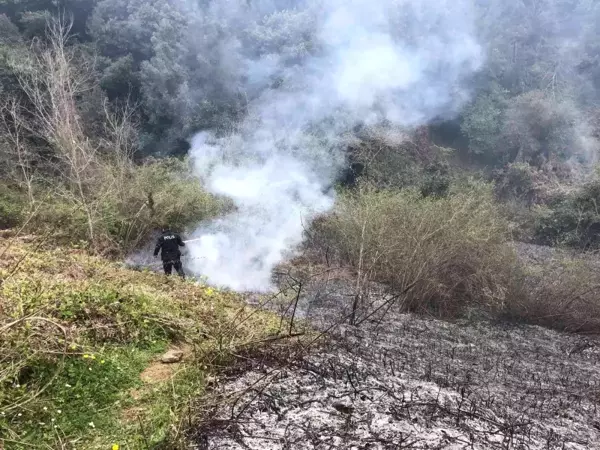 Sinop'ta çıkan yangının büyümesini polis önledi