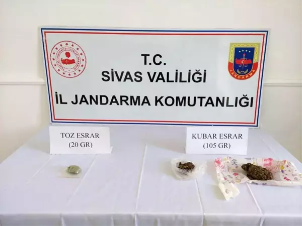 Sivas'ta narkotik köpekli şafak operasyonu