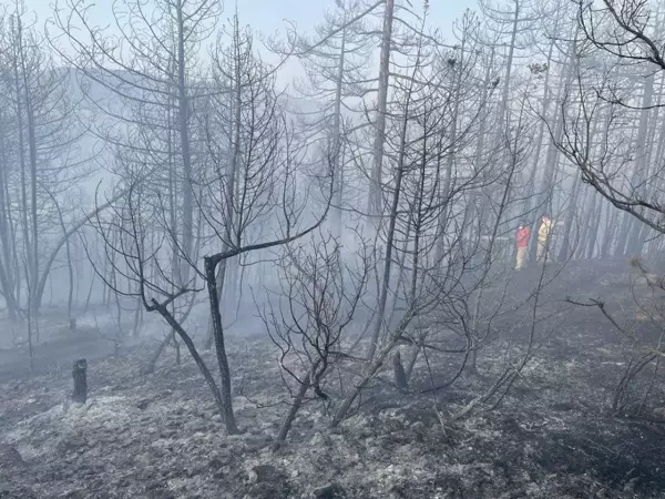 Bolu'da çıkan orman yangını kontrol altına alındı