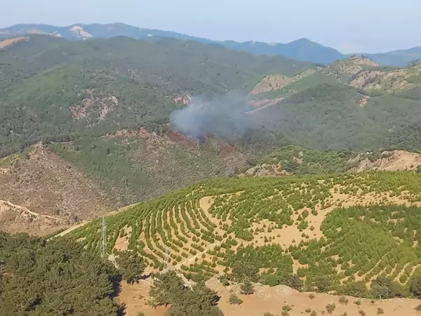 Son dakika gündem: Bergama ve Dikili'de yangın