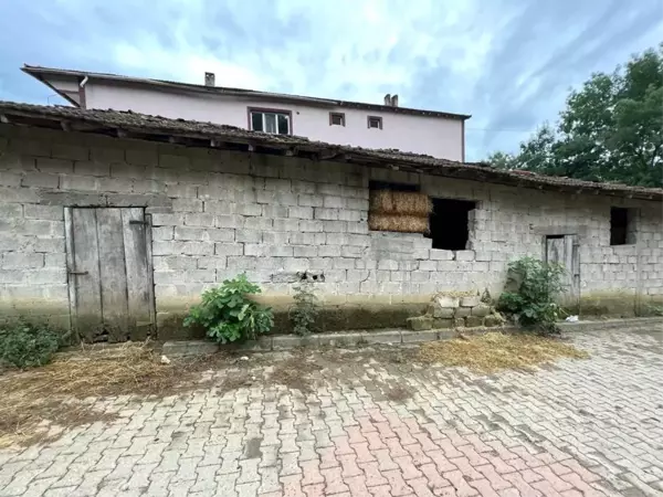 Bayram günü ağabeyini öldürdü, cinayetin sebebi samanlık çıktı