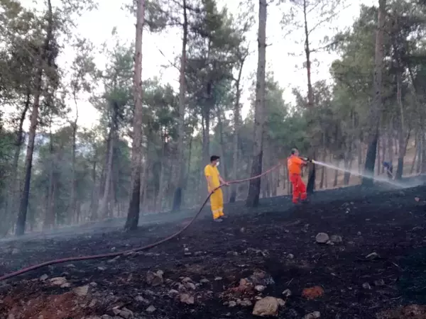 Son Dakika | Kırıkhan'da örtü yangını