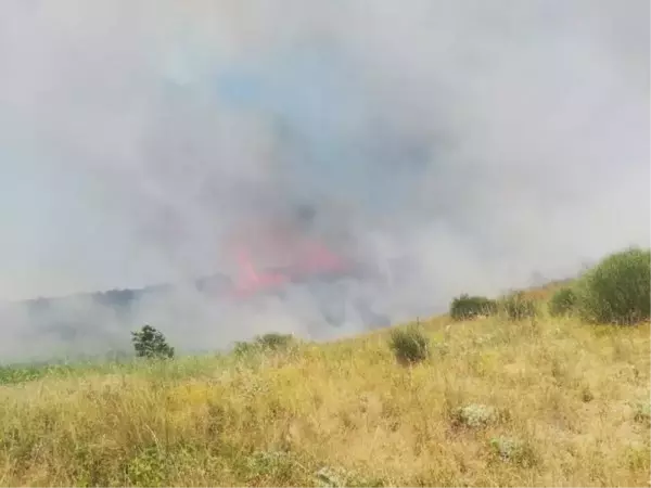 Tekirdağ haberi: ŞARKÖY'DE MAKİLİK YANGINI; 5 HEKTAR YANDI