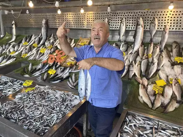 Sezon açıldı, tezgahlar balıkla dolmaya başladı