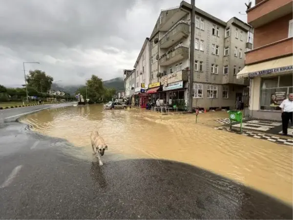 BARTIN'DA SAĞANAK; EV VE İŞ YERLERİNİ SU BASTI, TAŞKIN MEYDANA GELDİ