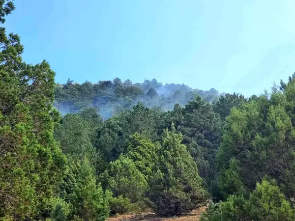 Isparta haberleri... Isparta Senirkent'te çıkan orman yangını kontrol altına alındı