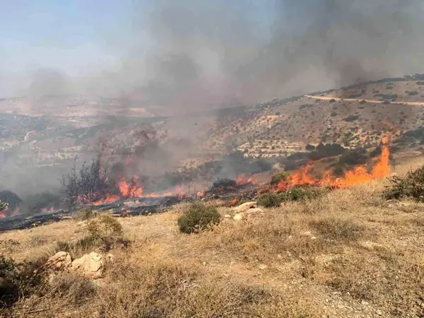 Gaziantep haberleri | Nizip'te orman yangını