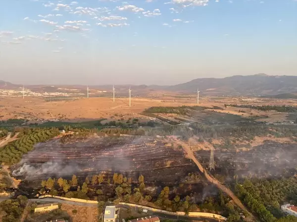 İzmir Aliağa'da çıkan orman yangını kontrol altına alındı