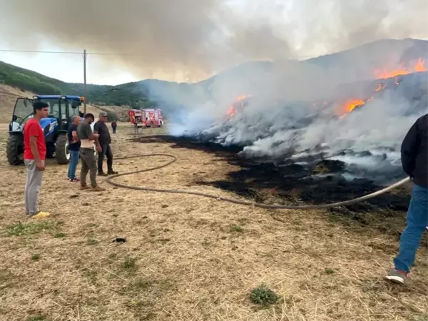 Erzurum'da Ot Yangını: Vatandaşın Bir Yıllık Emeği Kül Oldu