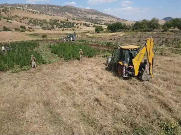 Diyarbakır'da büyük uyuşturucu operasyonu: 2 ton esrar ele geçirildi