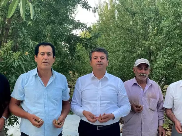 CHP Adıyaman Milletvekili Tutdere, Badem Üreticilerinin Sorunlarını Dinledi