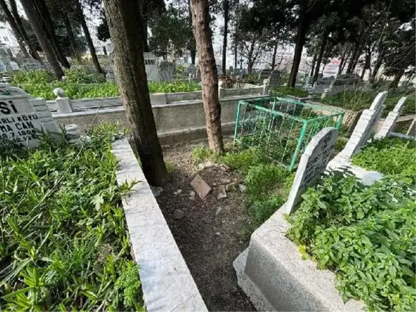 3 kardeş babalarını ihbar etti, bebek mezarı 20 yıl sonra açıldı! Müebbet hapsi isteniyor