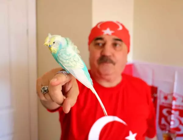 Bu kuş adeta insan gibi konuşuyor