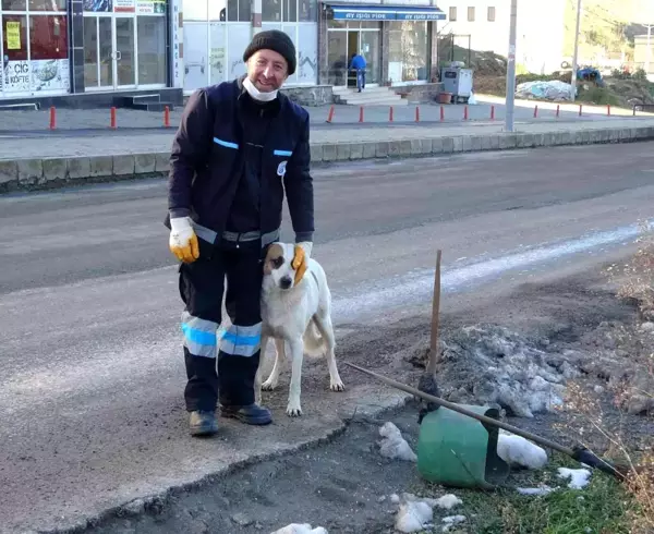 Temizliğe her sabah birlikte başlayıp birlikte bitiriyorlar