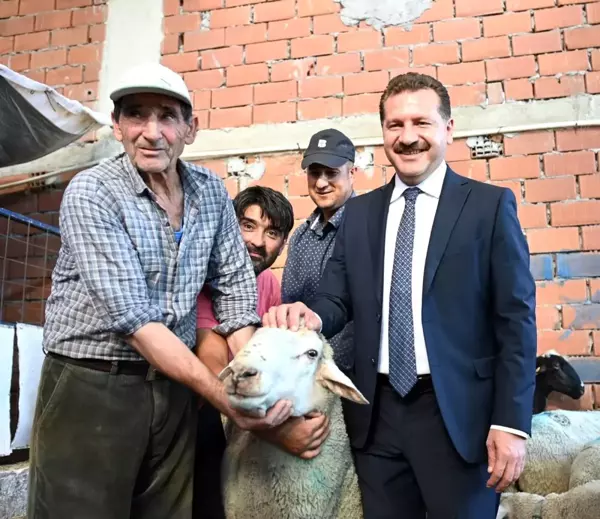 Başkan Yılmaz'dan koyunları yanan çiftçiye destek