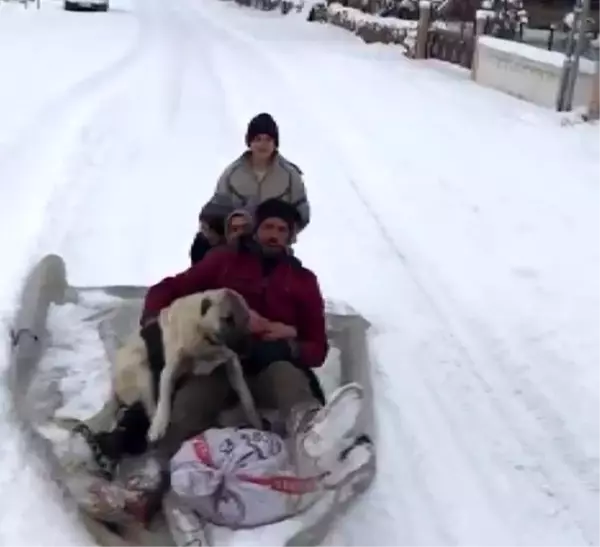 Köpeklerini de yanlarına aldılar, kanepeyle doyasıya kaydılar