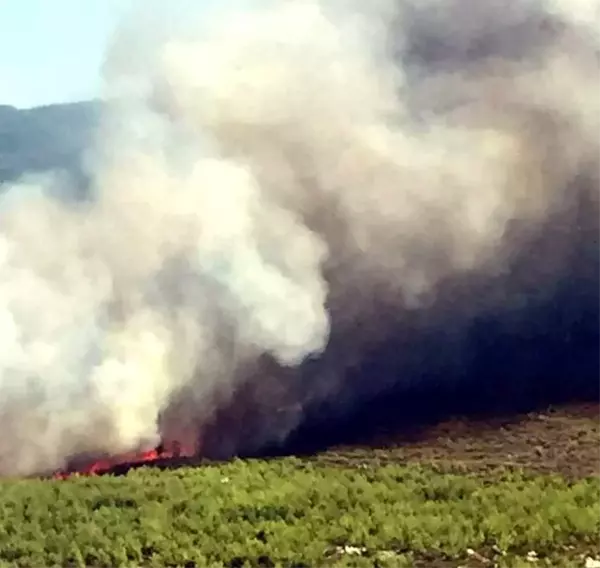 Muğla'da ikinci büyük orman yangını