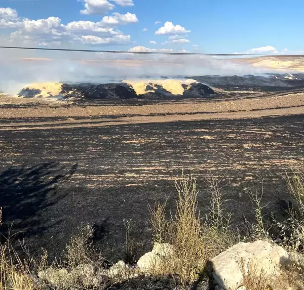 Tunceli'de çıkan yangında 300 ton saman kül oldu