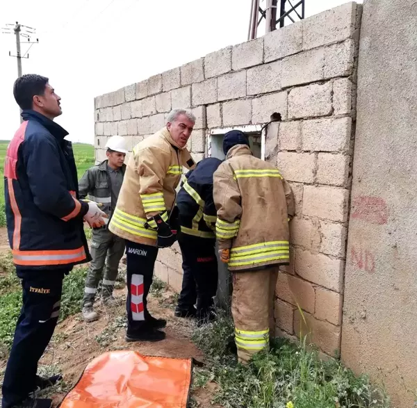 Mardin'de yüksek gerilim hattına temas eden genç hayatını kaybetti