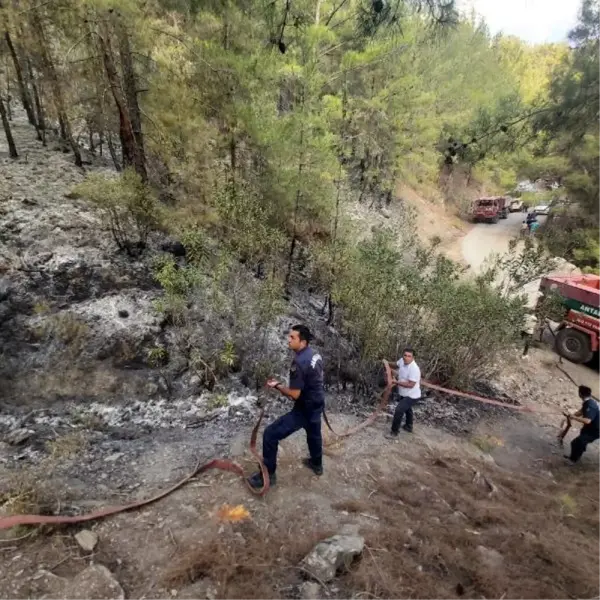 Alanya'da 18 saatlik orman yangınında 8 hektar alan yandı