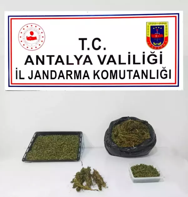 Alanya'da uyuşturucu ticareti yapılan eve baskında 1 kilo 500 gram esrar ele geçirildi