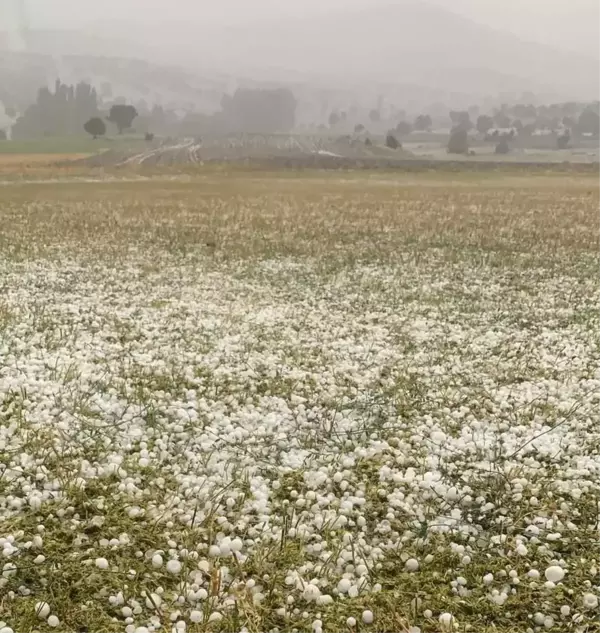 Dolu, ekili alanlara zarar verdi