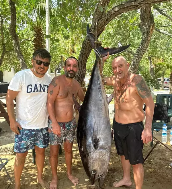 Mersin'de Dev Orkinos Balığı Yakalandı