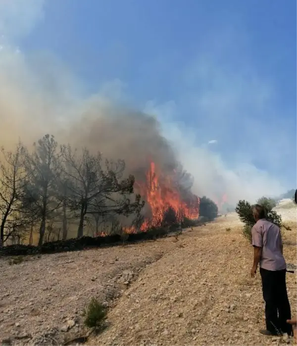 Son dakika... Kula'da zamanında müdahale, orman yangınının büyümesini önledi