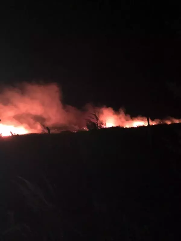 Anız yangını rüzgarla büyüdü, karayolundaki sürücüler zor anlar yaşadı