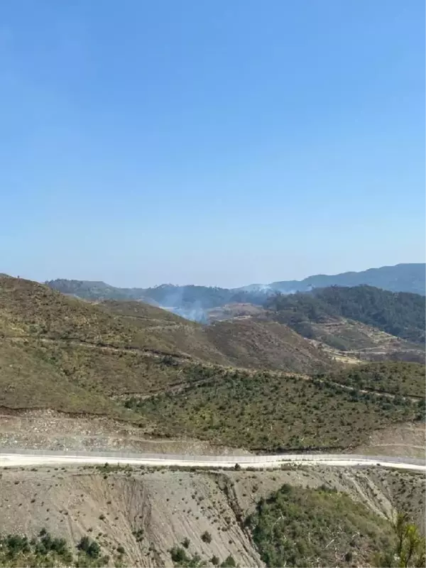 Hatay'da, Suriye'deki orman yangını tedbiri