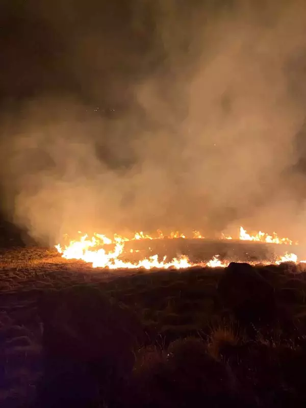 Bodrum'da aynı bölgede yine yangın çıktı