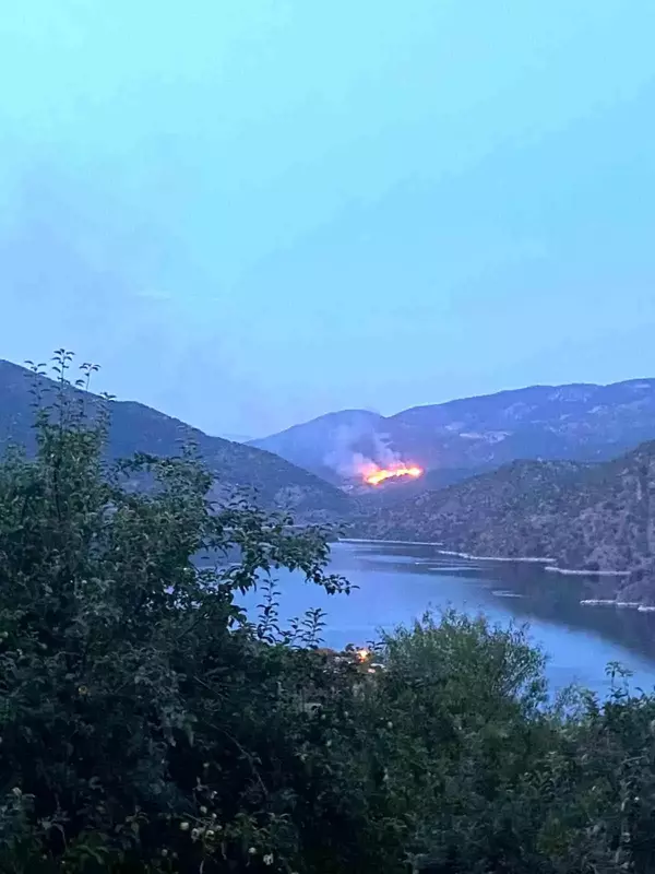 Çorum'un Laçin ilçesinde ormanlık alanda yangın çıktı