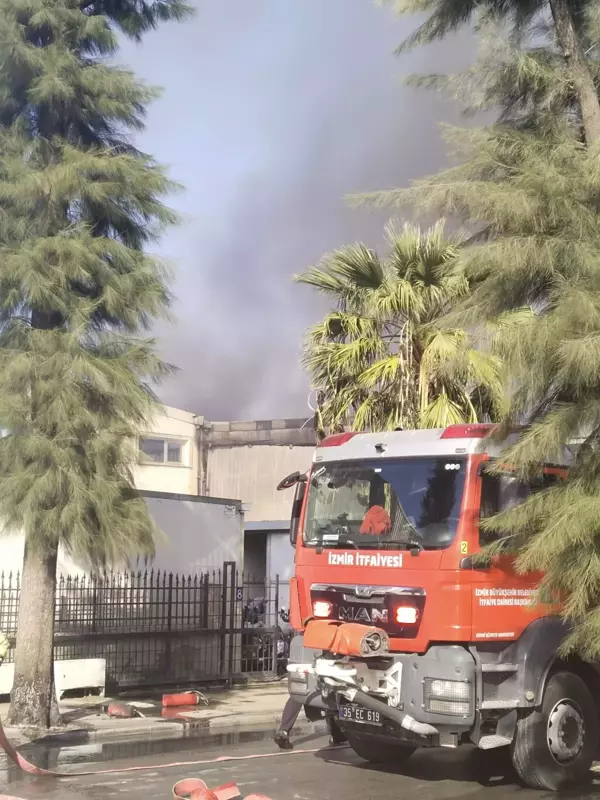 İzmir'de kimya fabrikasında yangın çıktı