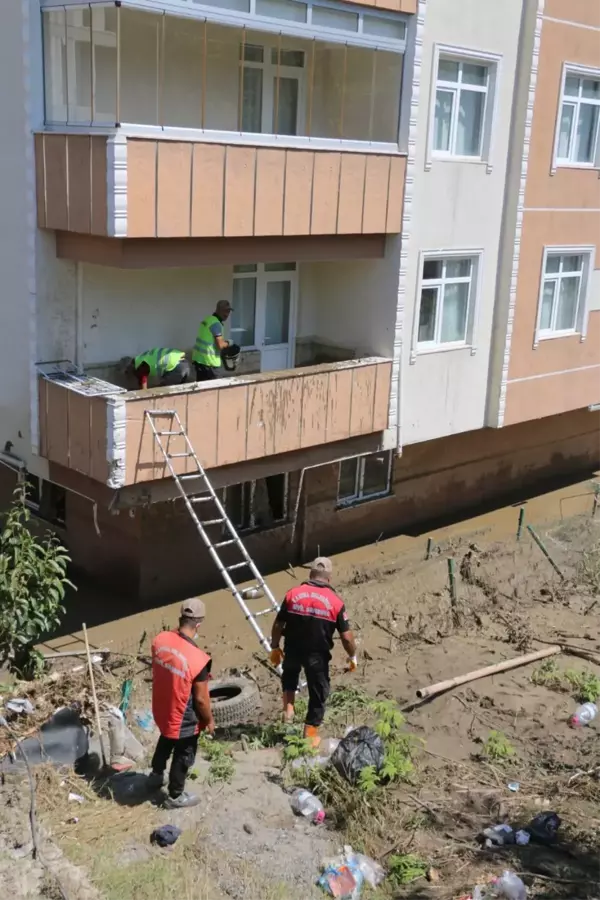 Sahiplerini kaybeden kedilere ilkyardım Kartal Belediyesi ekiplerinden geldi